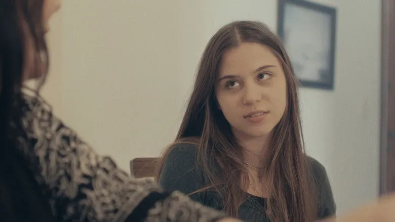 Banner for O Cigarro