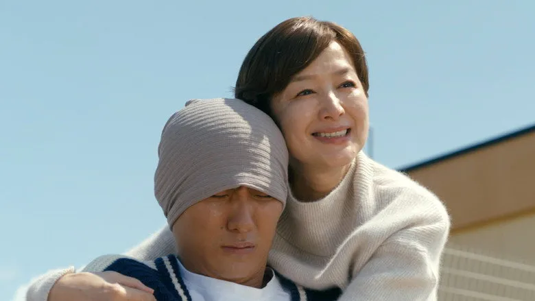 Banner for One Last Throw