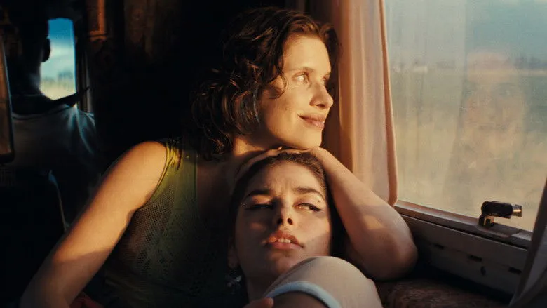 Banner for Our Wildest Days