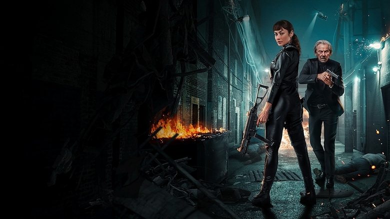 Banner for Paradox Effect