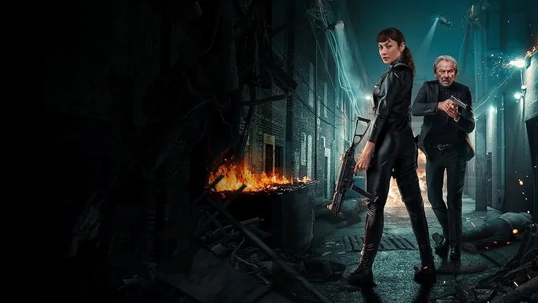 Banner for 파라독스 이펙트