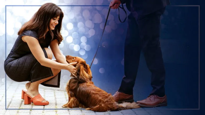 Banner for Paws in the City