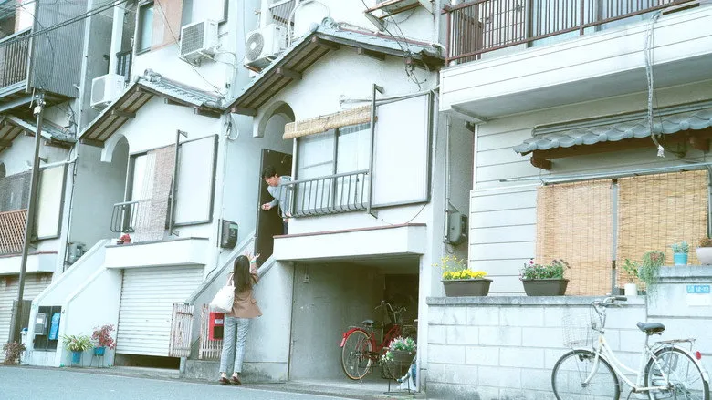 Banner for Petals and Memories