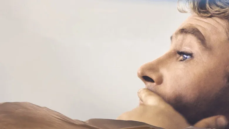 Banner for Peter O'Toole: Along the Sky Road to Aqaba