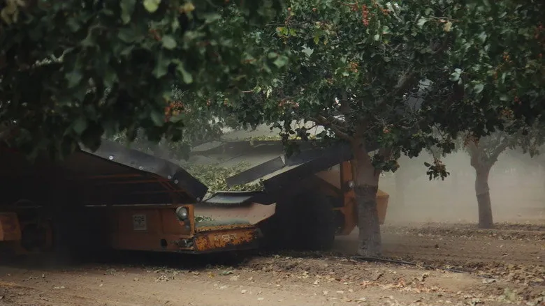 Banner for Pistachio Wars