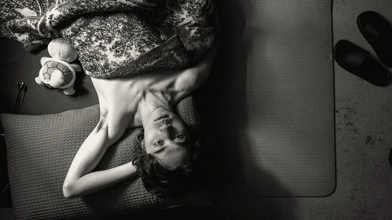 Banner for Queerpanorama