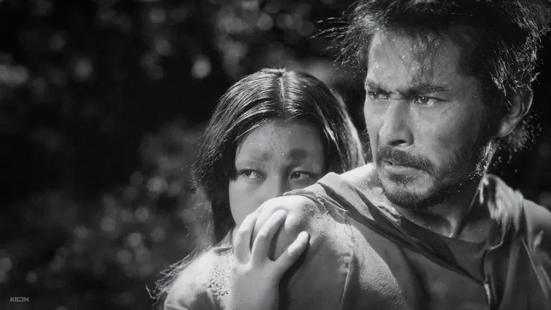 Banner for Rashomon