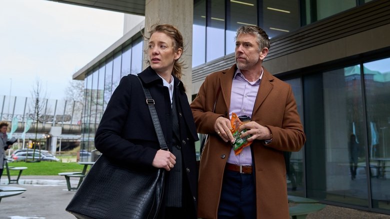 Banner for Vengeance