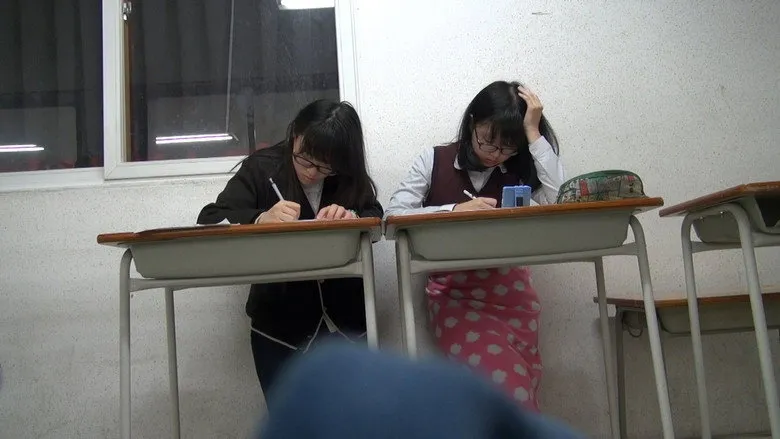 Banner for Saving a Dragonfly