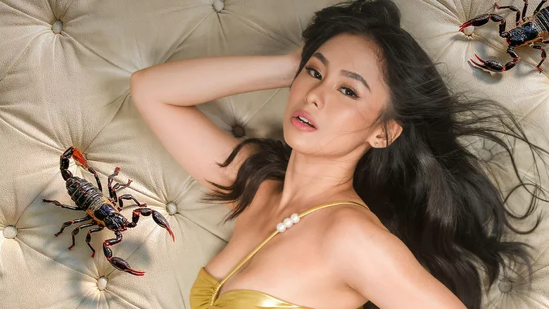 Banner for Scorpio Nights 4