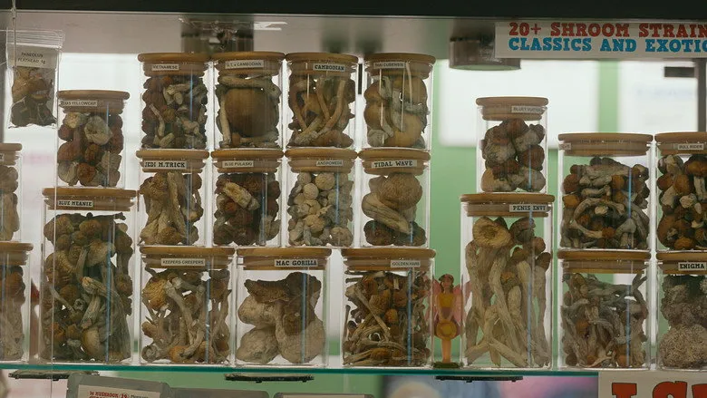 Banner for Searching for Drug Peace