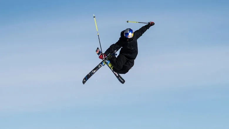 Banner for She Who Flies