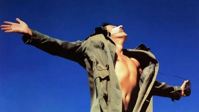 Banner for Shine - Brilhante