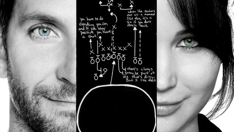 Banner for Silver Linings Playbook