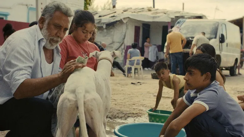 Banner for Sleepless City