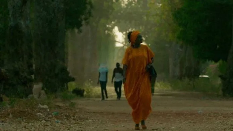 Banner for So Long a Letter