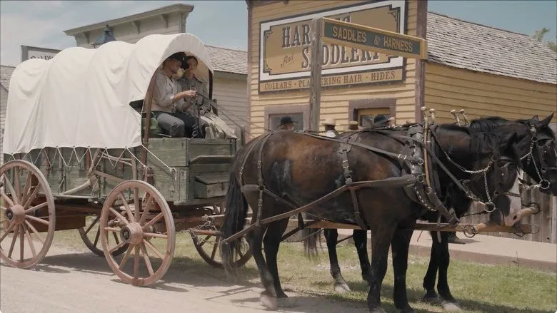 Banner for Sod and Stubble