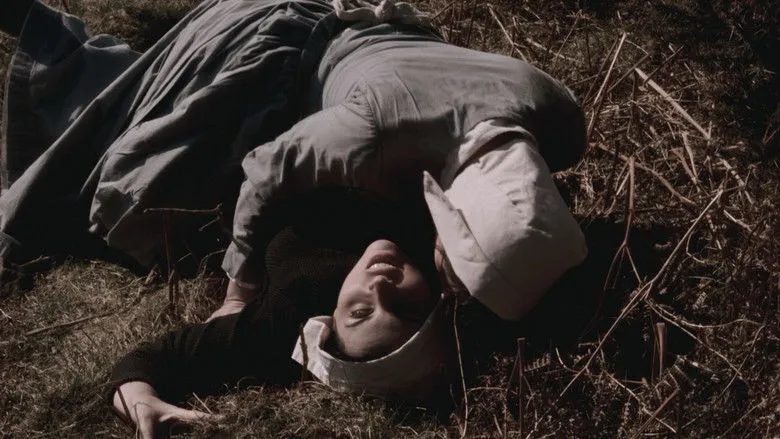 Banner for Some Reddish Work