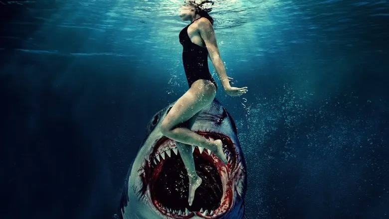 Banner for Something in the Water