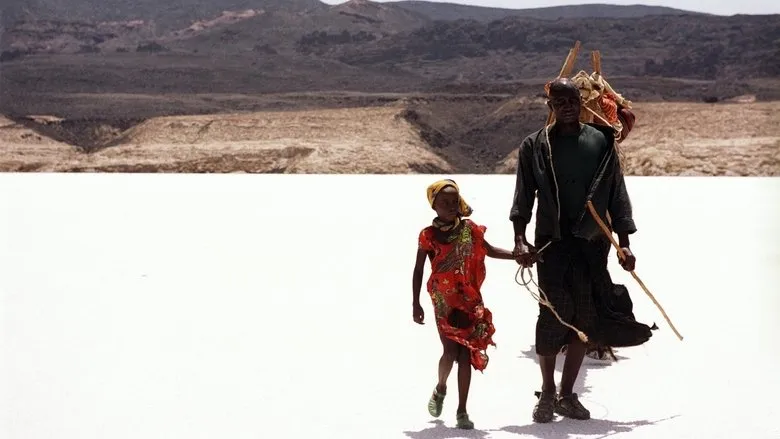 Banner for Sounds of Sand