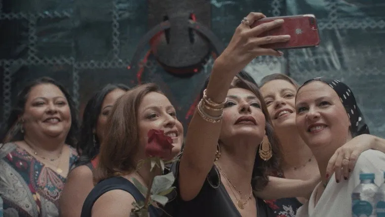 Banner for Spring Came on Laughing