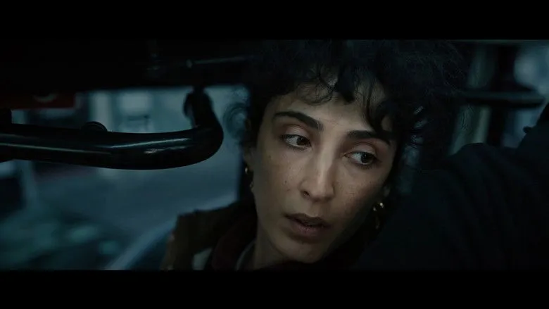 Banner for Stone and Feather