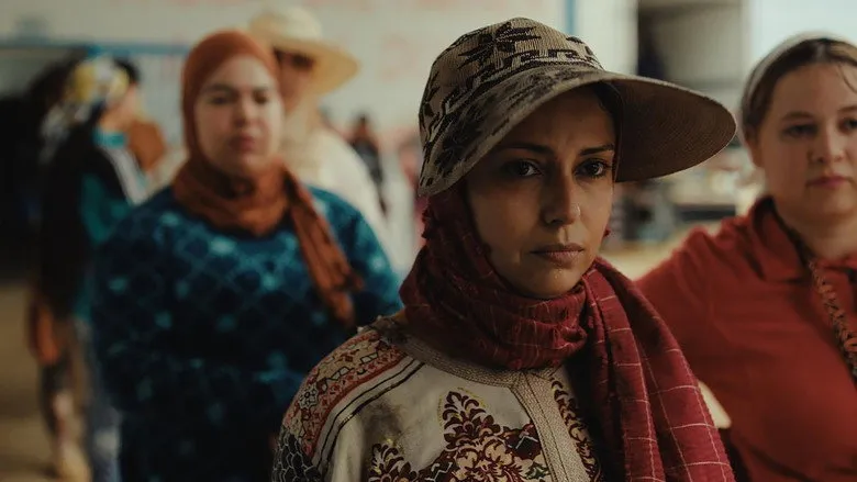 Banner for Strawberries