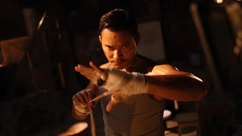 Banner for Venganza implacable