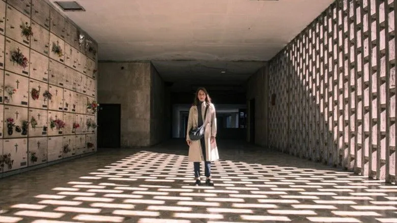 Banner for Surfacing