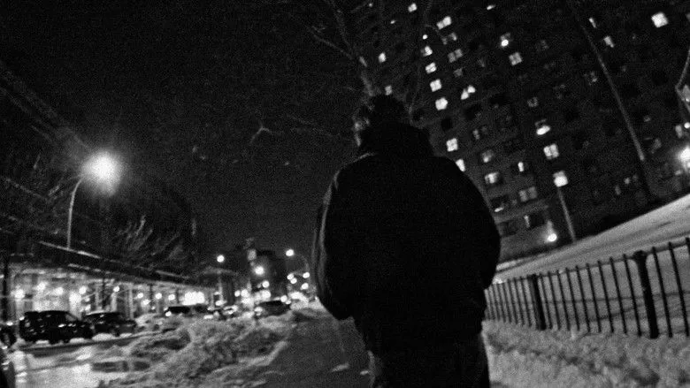 Banner for Terms & Conditions.