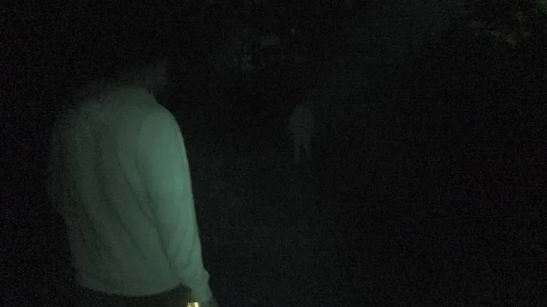 Banner for Terror Tales: Poetry & Death Volume 1