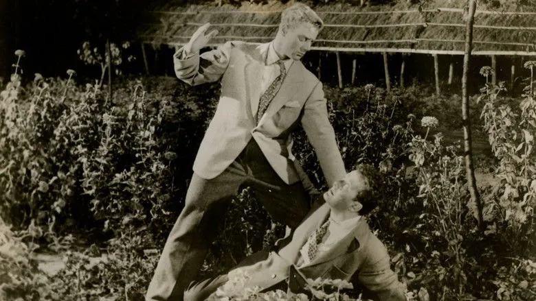 Banner for The Amazing Mr. Callaghan