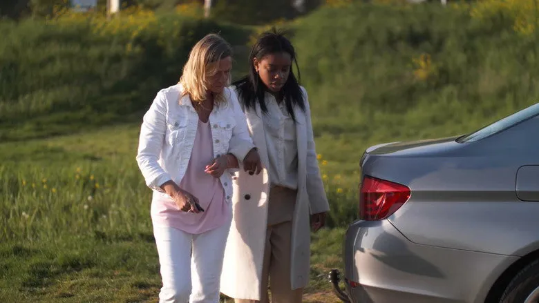 Banner for The Astray