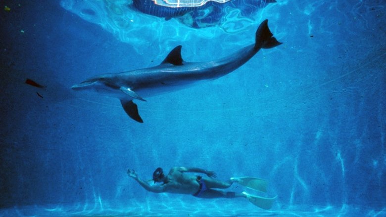 Banner for Azul profundo