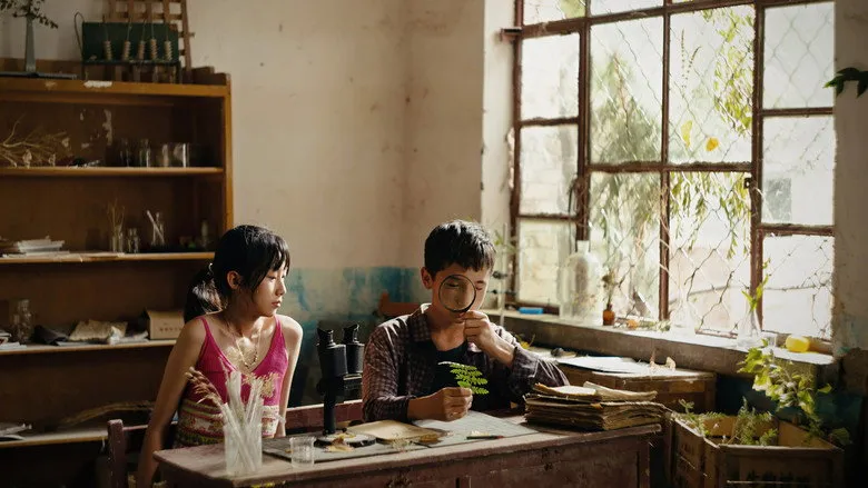 Banner for The Botanist