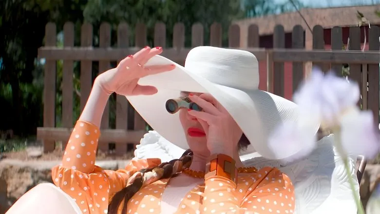 Banner for The Cleaners