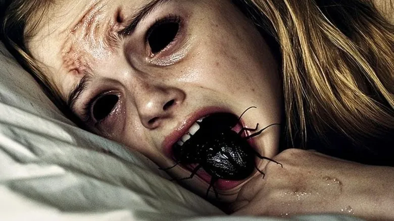 Banner for The Containment