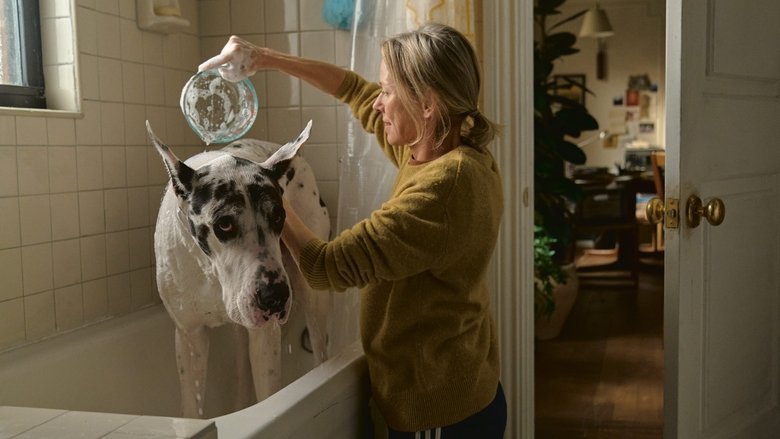 Banner for 더 프렌드