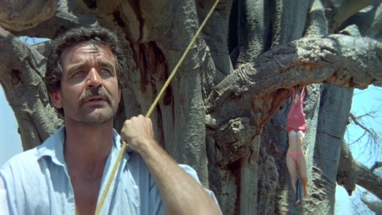 Banner for Tanrılar Çıldırmış Olmalı 2