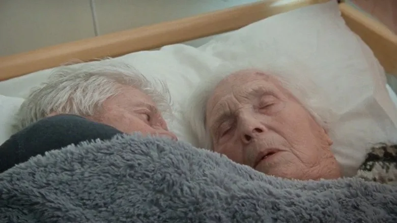 Banner for The Ground Beneath Our Feet