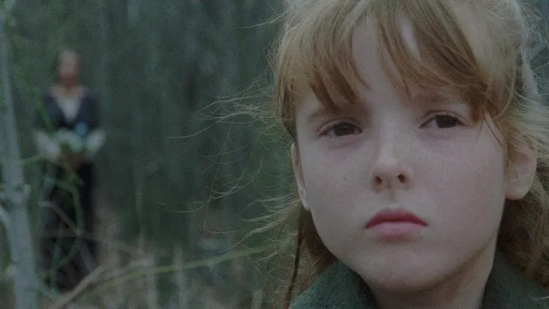 Banner for The House by the Cemetery