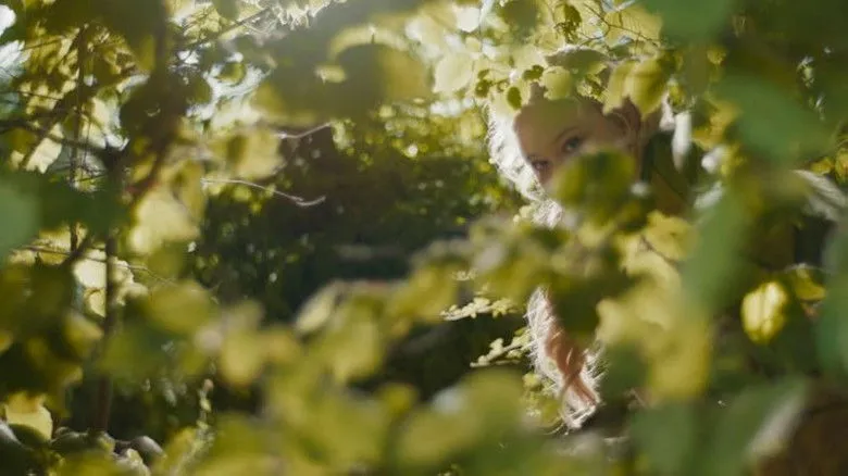 Banner for The Magic Faraway Tree