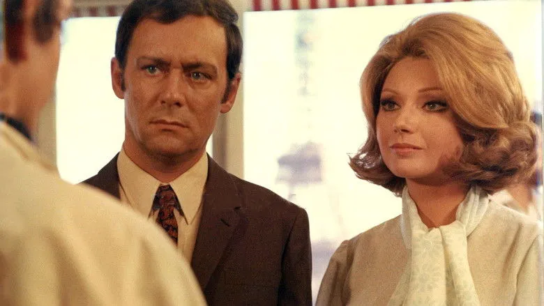 Banner for The Modification