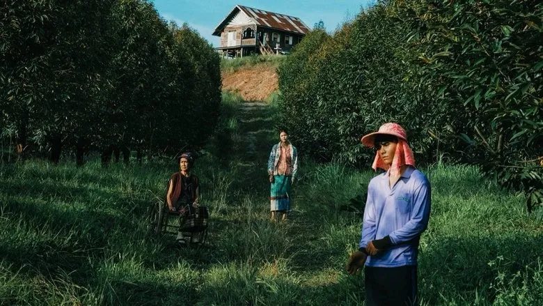 Banner for The Paradise of Thorns