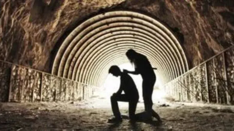 Banner for The Protos Experiment