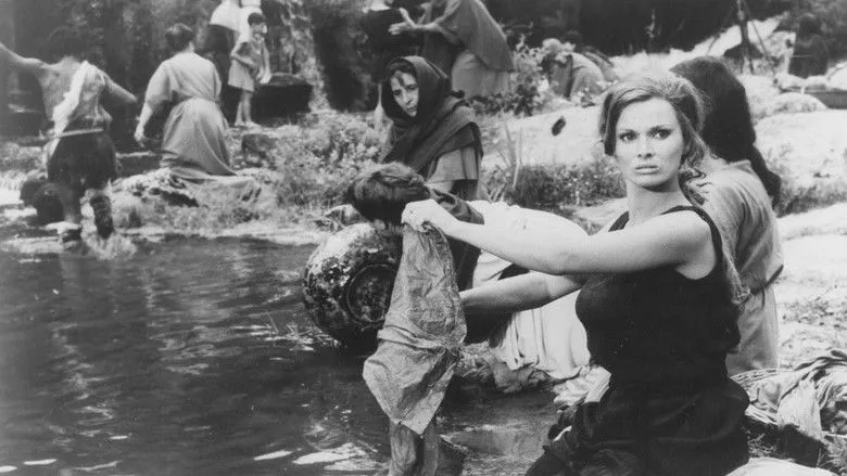 Banner for The Revenge of the Gladiators