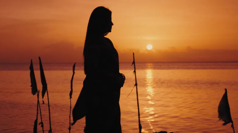 Banner for The Seas Between Us