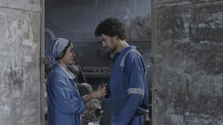 Banner for The Settlement