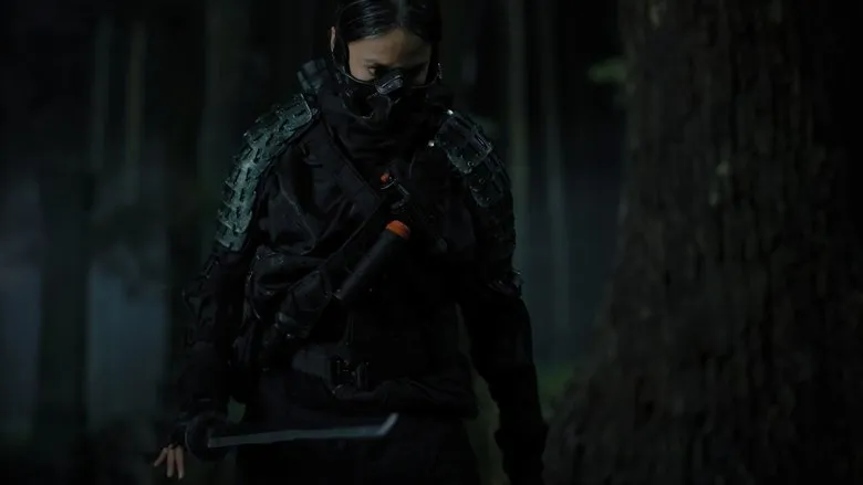 Banner for The Shadow Strays