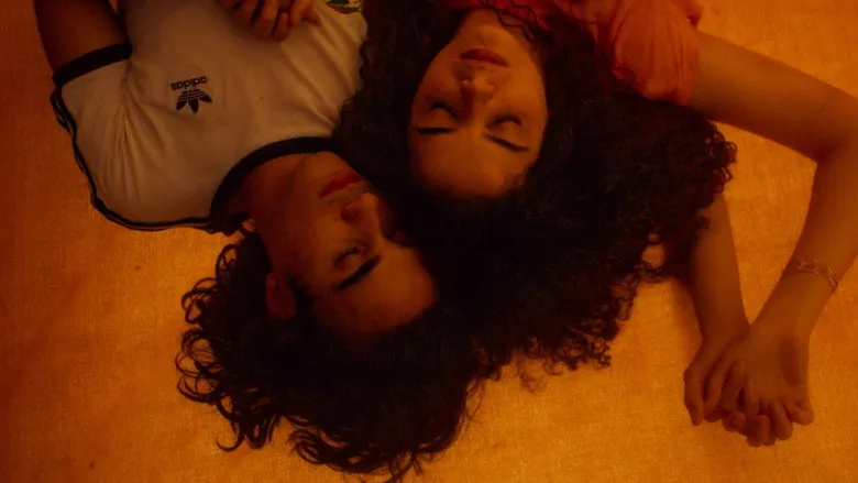 Banner for The Silent Run